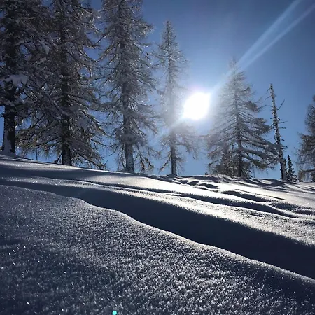Ski-willy