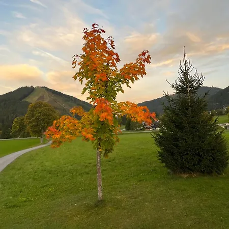 Appartamento Ski-willy Ramsau am Dachstein