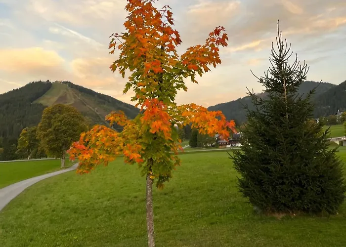 Apartment Ski-willy Ramsau am Dachstein